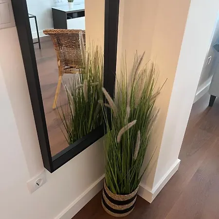 Gatu Esmeralda Apartamento